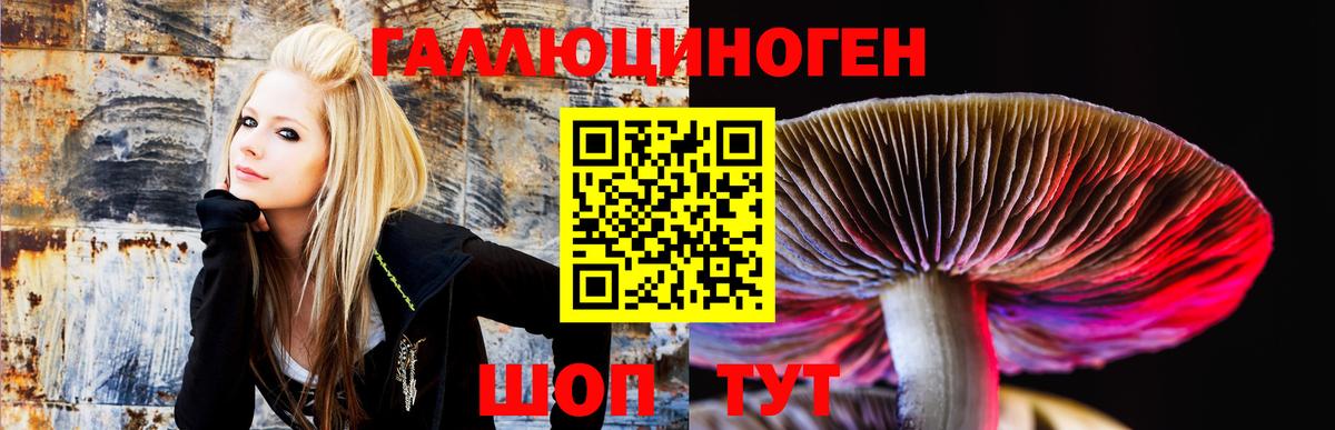 Галлюциногенные грибы мицелий Отрадный