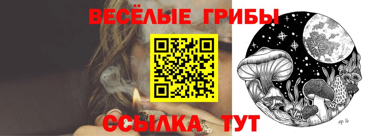 Отрадный  Галлюциногенные грибы GOLDEN TEACHER  Вход с VPN  Галлюциногенные грибы прущие грибы 