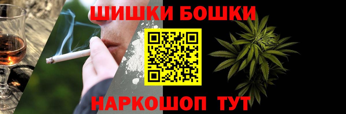 Бошки Шишки планчик Отрадный